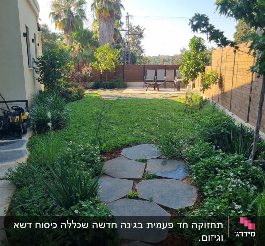 שביל אבנים בגינה עם צמחים ודשא ירוק